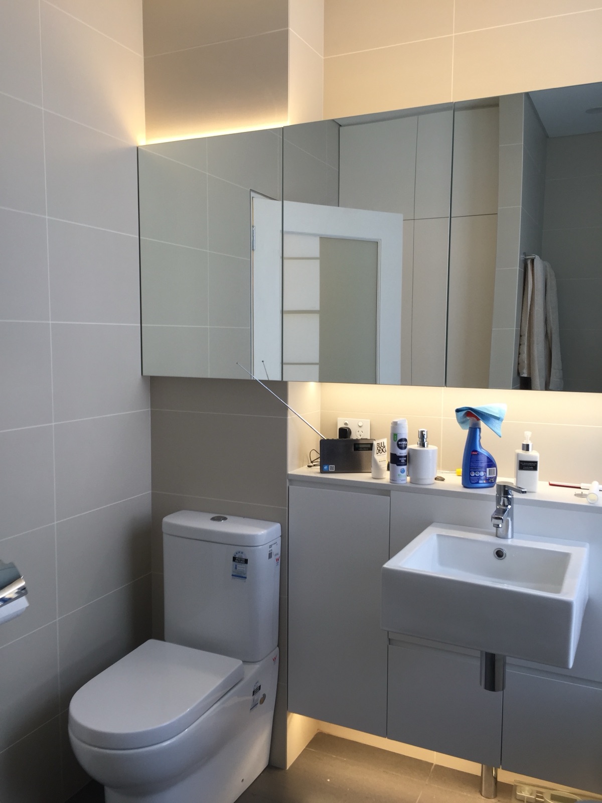 Ensuite renovation with full-height mirrored cabinetry and concealed lighting in Surry Hills
